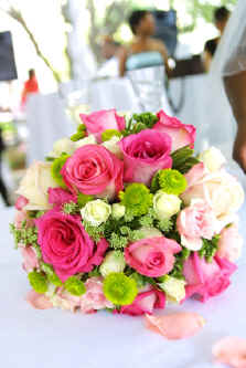 Tracey Brown Photography 