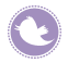 twitter link to cto bridal boutoque